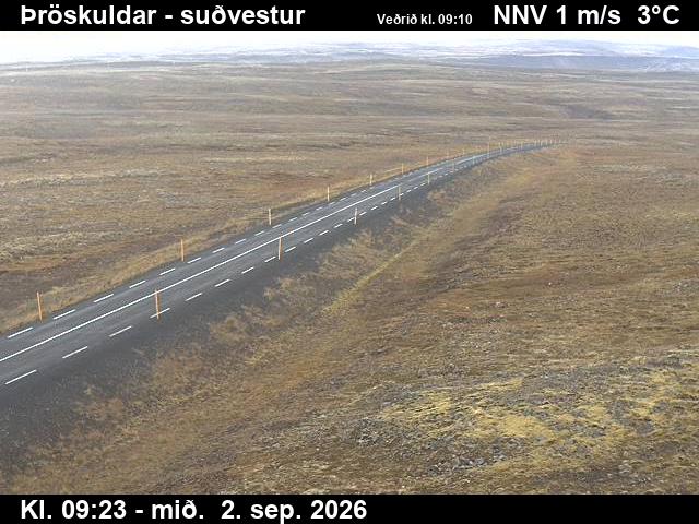 throskuldar_3-1788348347.jpg