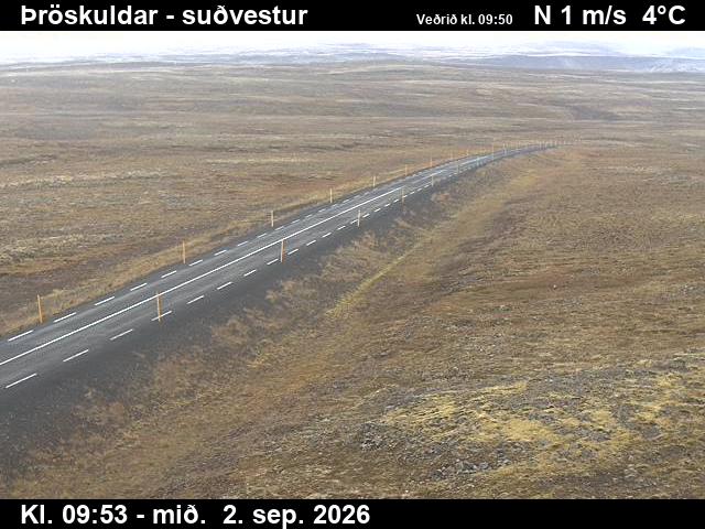 throskuldar_3-1788350492.jpg