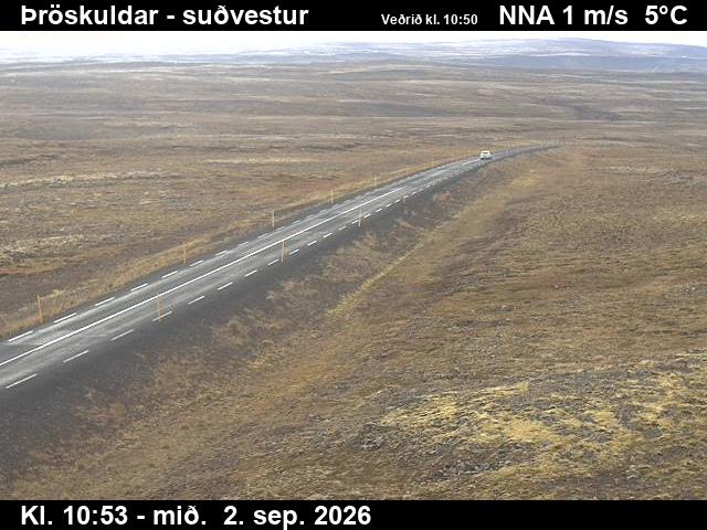 throskuldar_3-1788354103.jpg
