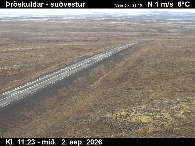 throskuldar_3-1788355538.jpg