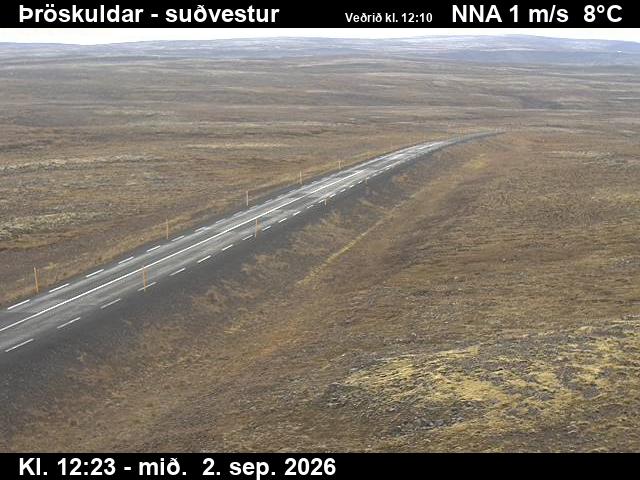 throskuldar_3-1788359144.jpg