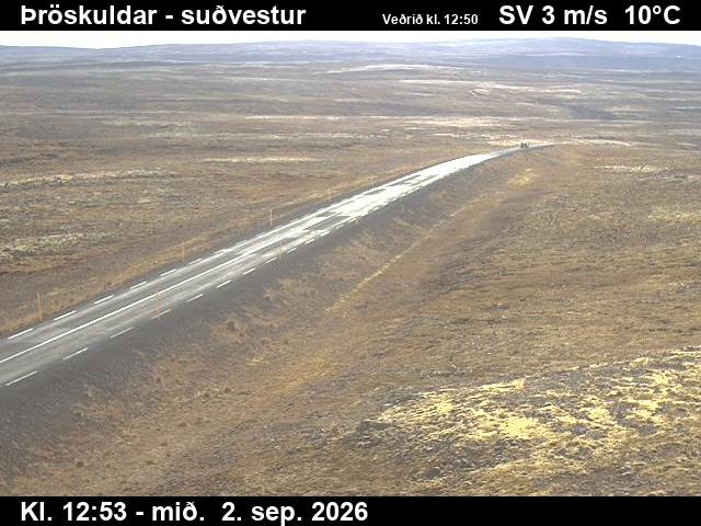 throskuldar_3-1788361273.jpg