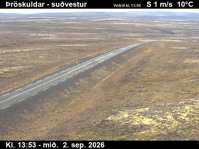 throskuldar_3-1788364886.jpg