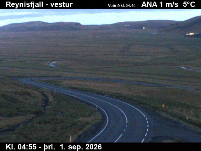 reynisfjall_3-1788246087.jpg