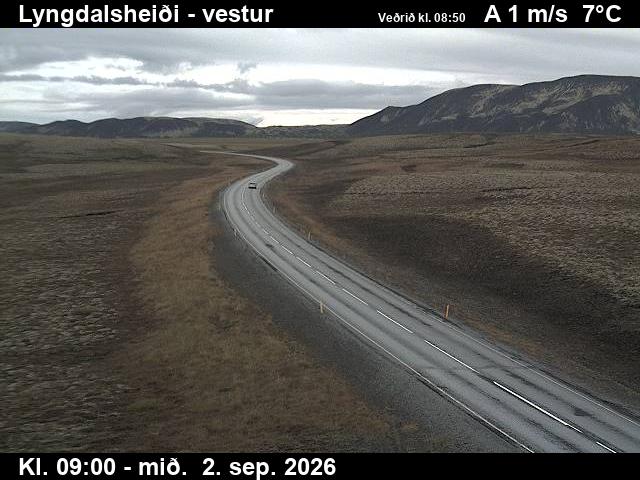 lyngdalsheidi_1-1788346882.jpg