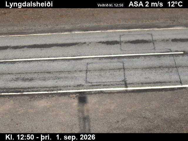 lyngdalsheidi_2-1788274854.jpg