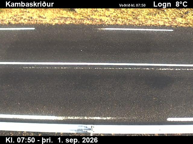kambaskridur_2-1788256922.jpg