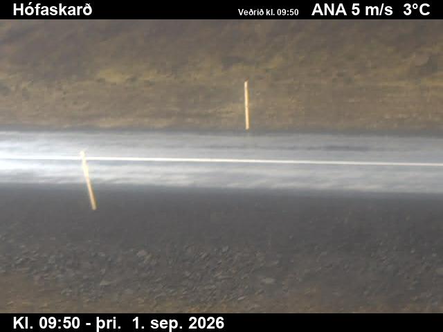 hofaskard_2-1788264158.jpg