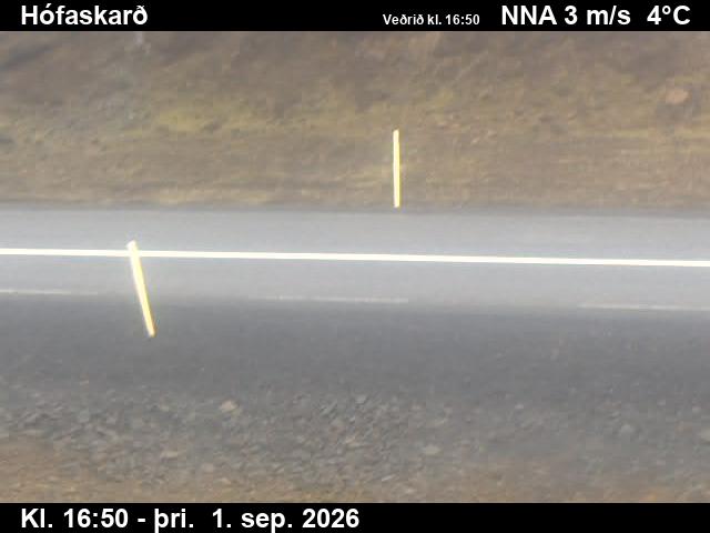 hofaskard_2-1788289329.jpg