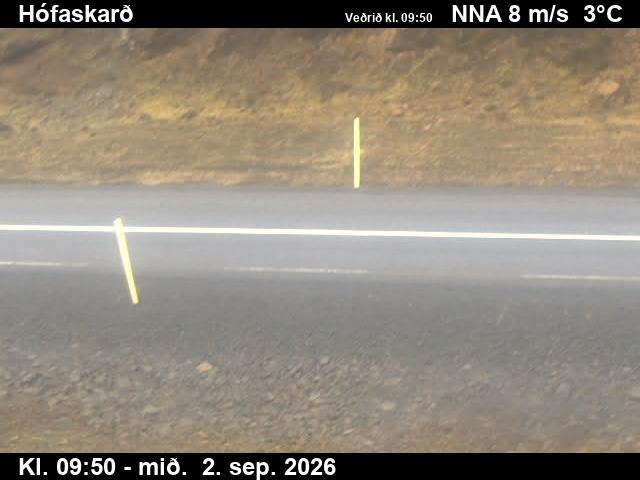 hofaskard_2-1788350511.jpg