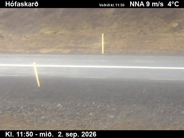 hofaskard_2-1788357657.jpg