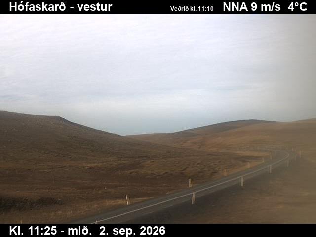 hofaskard_3-1788355560.jpg