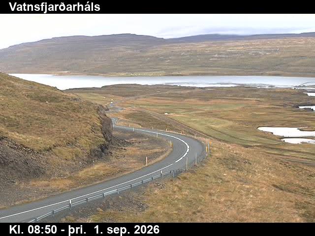 vatnsfjardarhals_2-1788260519.jpg