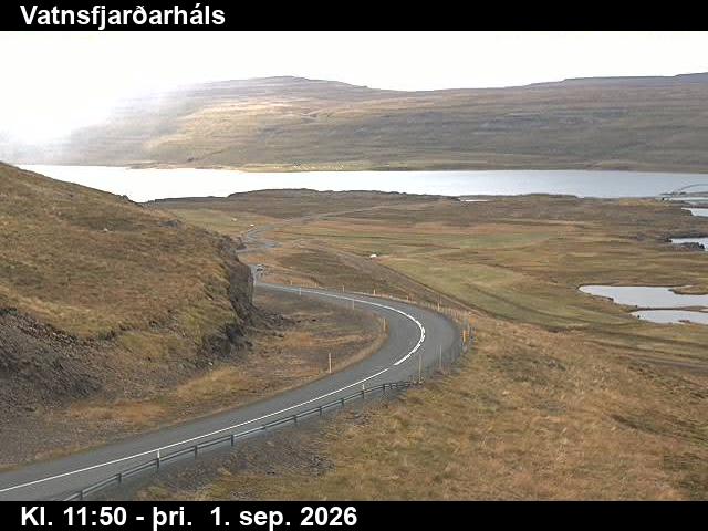 vatnsfjardarhals_2-1788271283.jpg