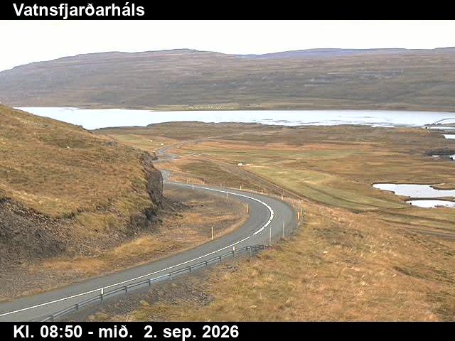 vatnsfjardarhals_2-1788346954.jpg