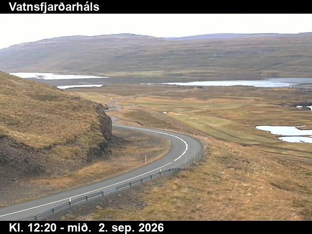 vatnsfjardarhals_2-1788359143.jpg