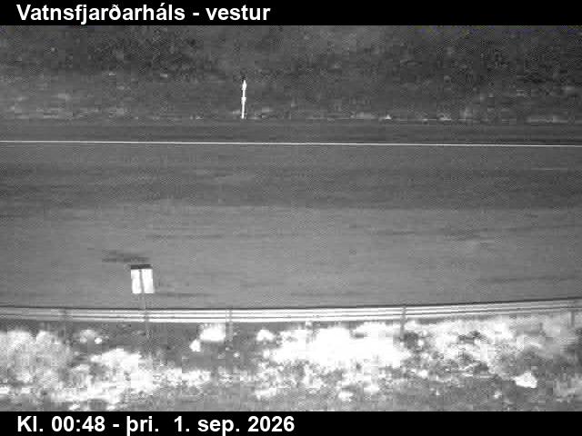 vatnsfjardarhals_3-1788231730.jpg