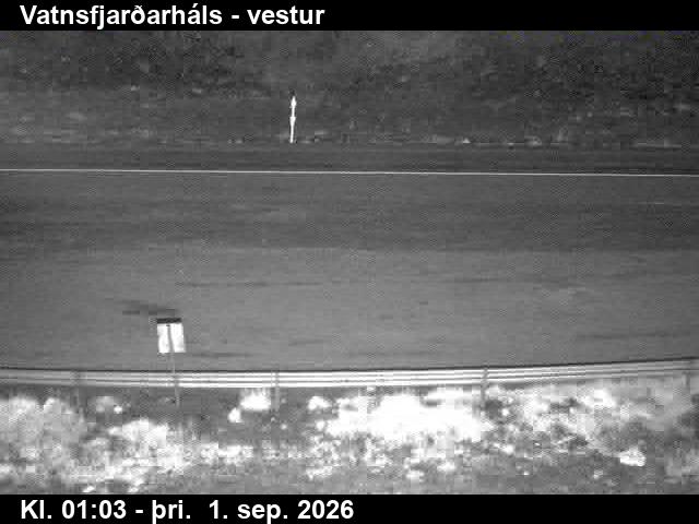 vatnsfjardarhals_3-1788232006.jpg