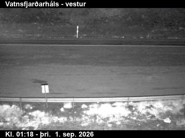vatnsfjardarhals_3-1788233163.jpg