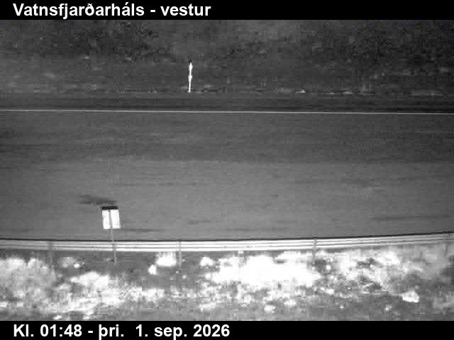 vatnsfjardarhals_3-1788235375.jpg