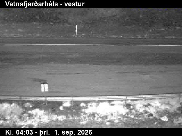 vatnsfjardarhals_3-1788242757.jpg