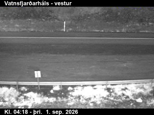 vatnsfjardarhals_3-1788243963.jpg