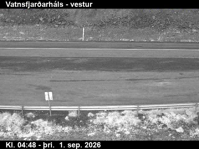 vatnsfjardarhals_3-1788246085.jpg
