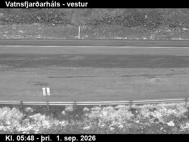vatnsfjardarhals_3-1788249692.jpg