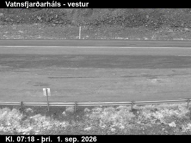 vatnsfjardarhals_3-1788254773.jpg