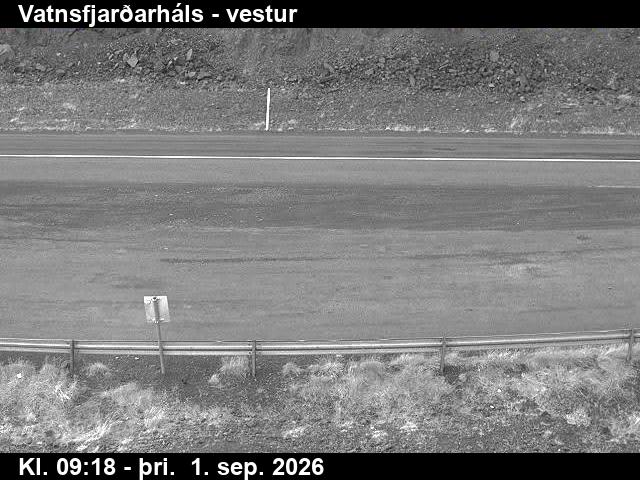 vatnsfjardarhals_3-1788261962.jpg