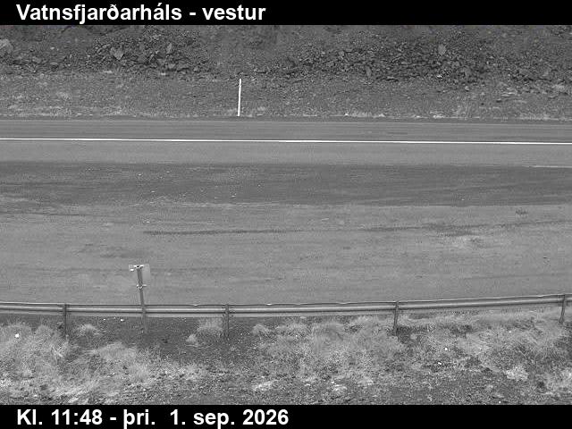 vatnsfjardarhals_3-1788271283.jpg