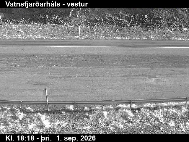 vatnsfjardarhals_3-1788294340.jpg