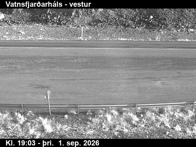 vatnsfjardarhals_3-1788296769.jpg