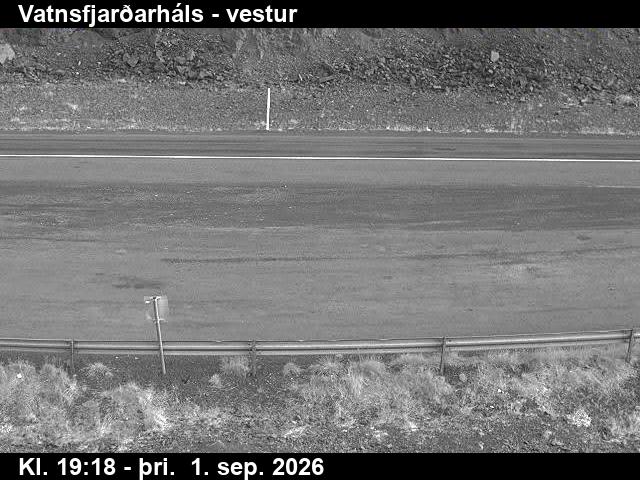 vatnsfjardarhals_3-1788297953.jpg