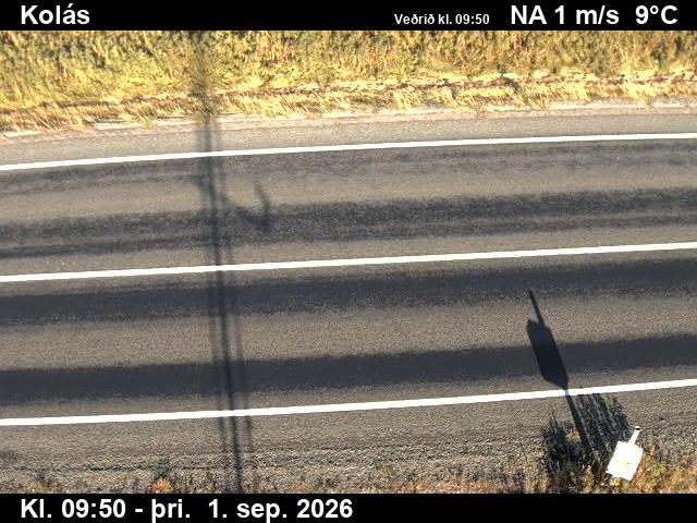 kolas_2-1788264078.jpg