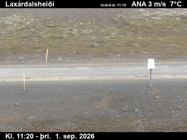 laxardalsheidi_2-1788269153.jpg