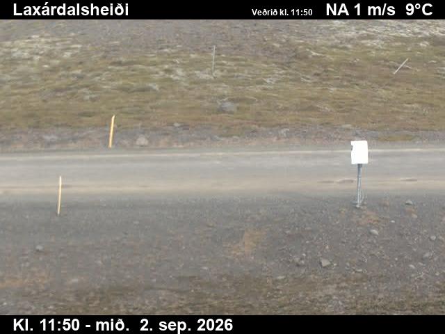 laxardalsheidi_2-1788357678.jpg