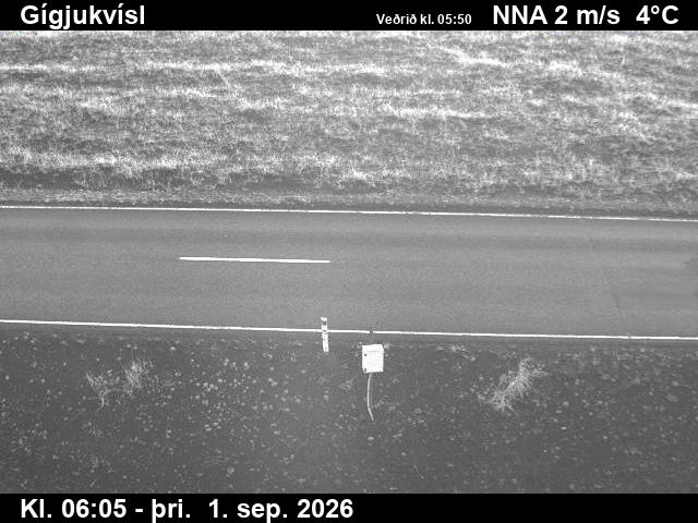 gigjukvisl_2-1788249979.jpg