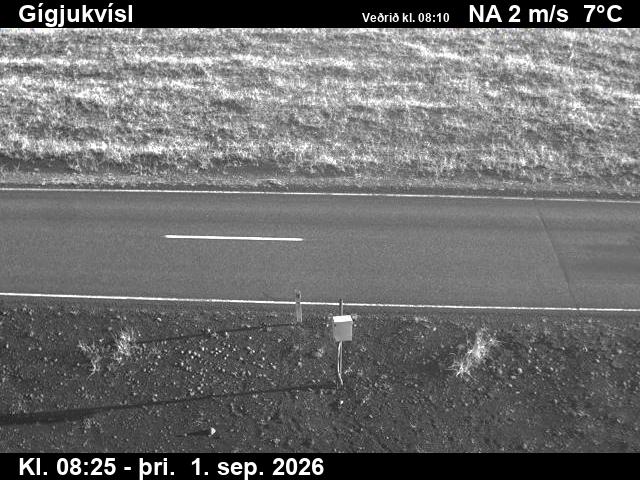 gigjukvisl_2-1788258504.jpg