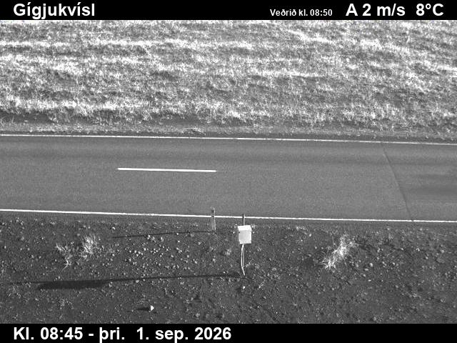 gigjukvisl_2-1788260604.jpg