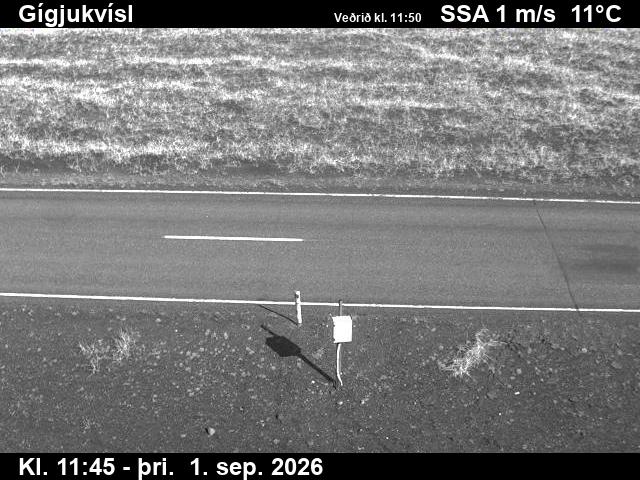 gigjukvisl_2-1788271254.jpg