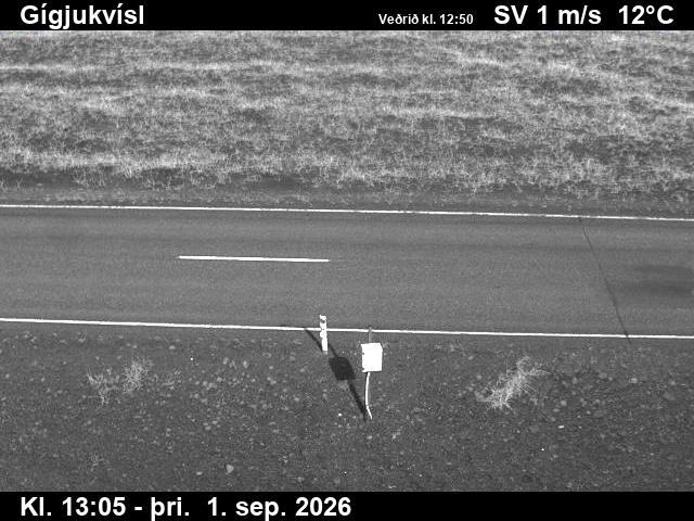 gigjukvisl_2-1788275142.jpg
