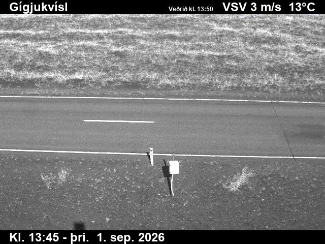 gigjukvisl_2-1788278565.jpg