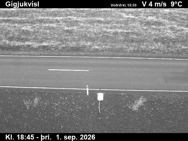gigjukvisl_2-1788296484.jpg