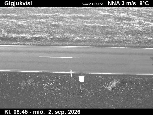gigjukvisl_2-1788346918.jpg