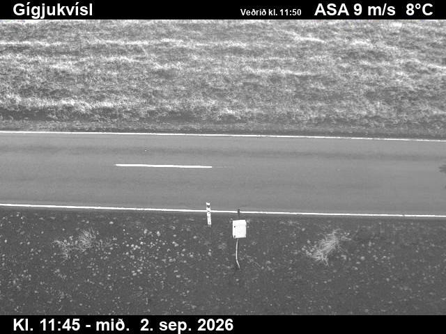 gigjukvisl_2-1788357679.jpg