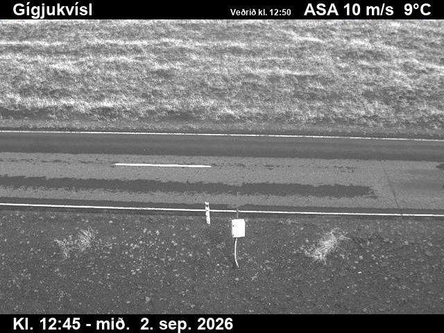 gigjukvisl_2-1788361318.jpg