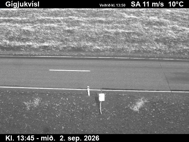 gigjukvisl_2-1788364868.jpg