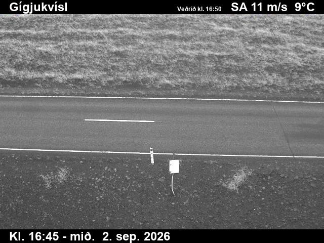 gigjukvisl_2-1788375688.jpg