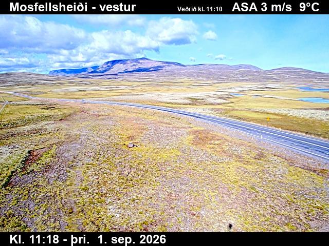 mosfellsheidi_1-1788269153.jpg